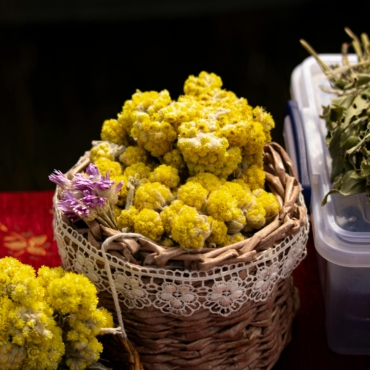 Tisane Au Cœur du Maquis