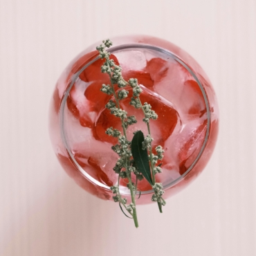 Tisane Évasion estivale