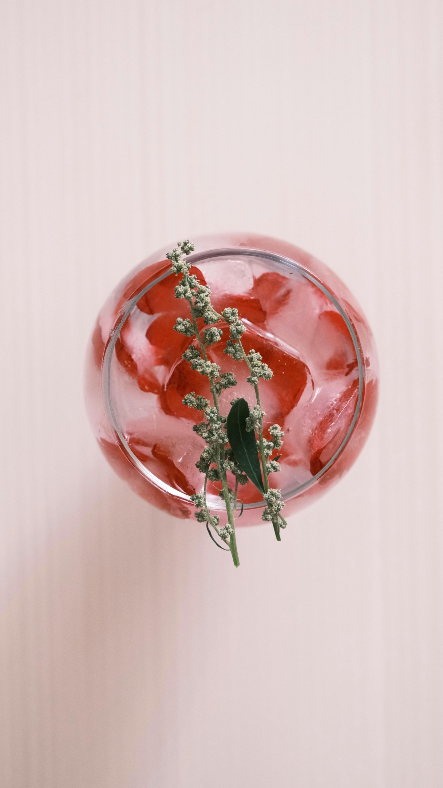 Tisane Évasion estivale